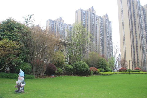 大連房地產市場動態觀察 機遇與挑戰并存