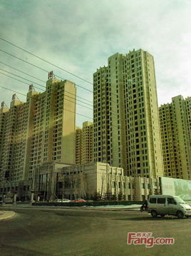 大連新星房地產開發集團 深耕本土，輻射全國的城市建設者